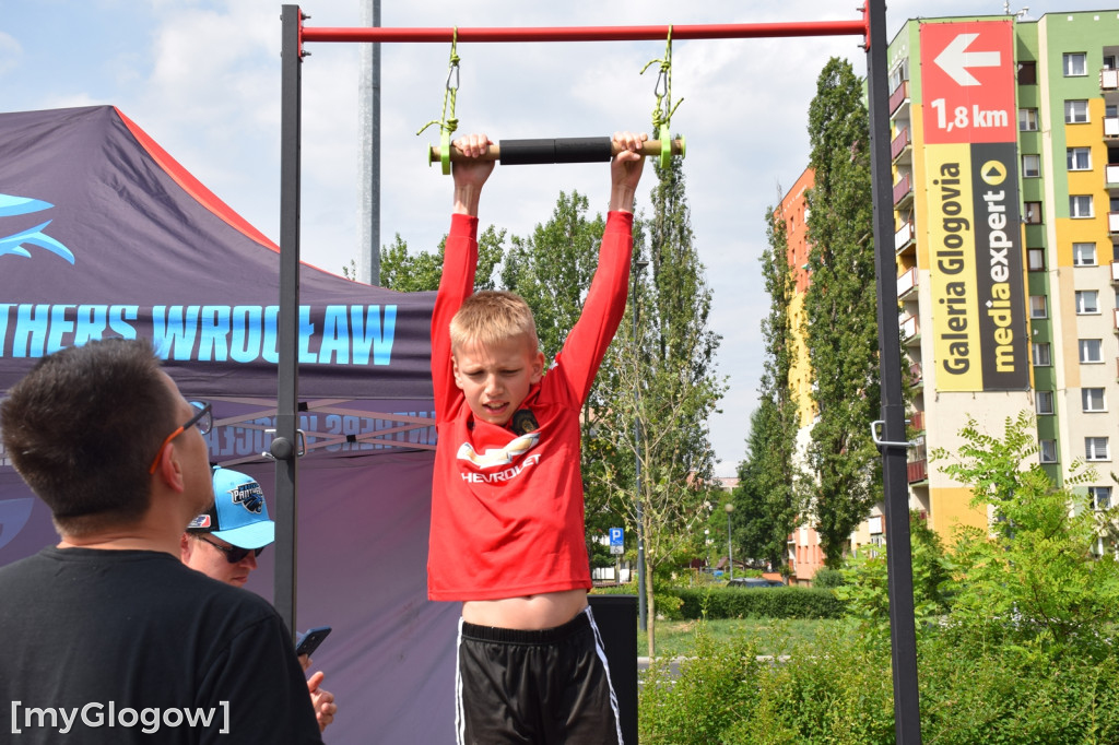 Panthers Wrocław w Głogowie