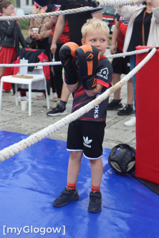 Piknik bokserski na Bulwarze Nadodrzańskim