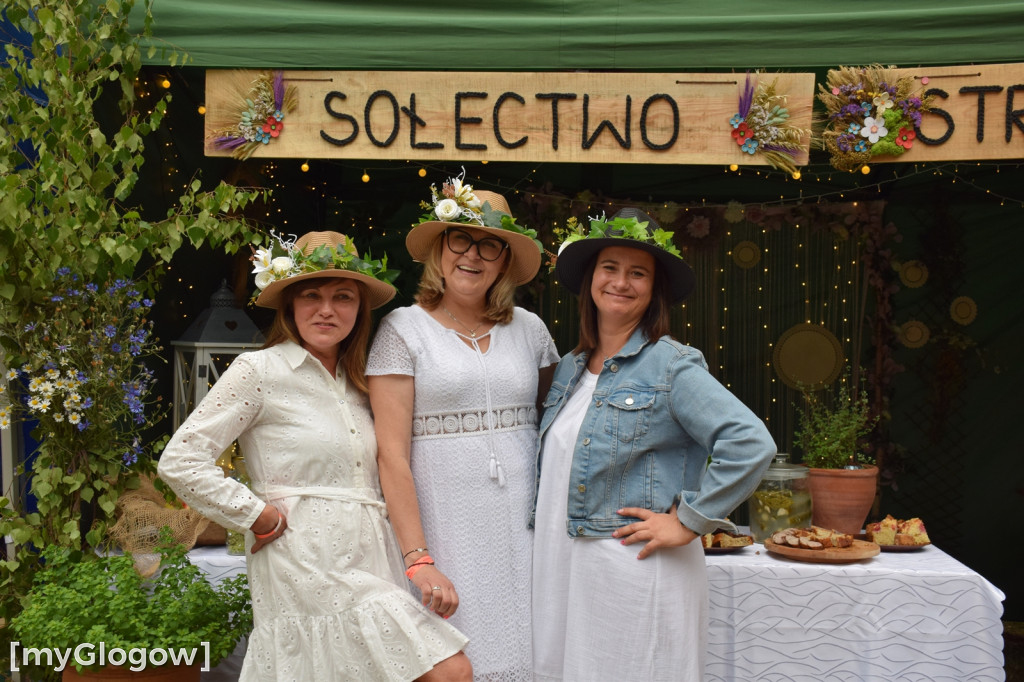 Dni Gminy Radwanice 2024