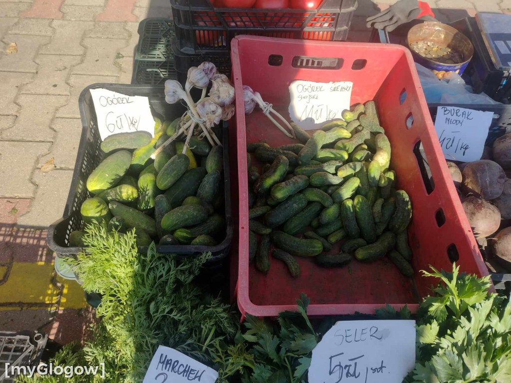 Ogórki już się kończą! Jakie ceny na dużym targu w Głogowie?