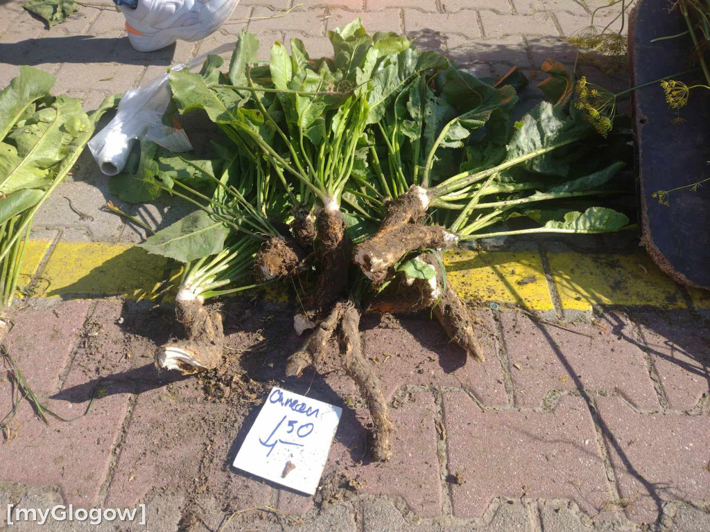 Ogórki już się kończą! Jakie ceny na dużym targu w Głogowie?