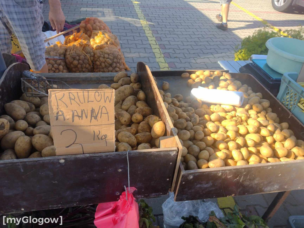 Ogórki już się kończą! Jakie ceny na dużym targu w Głogowie?