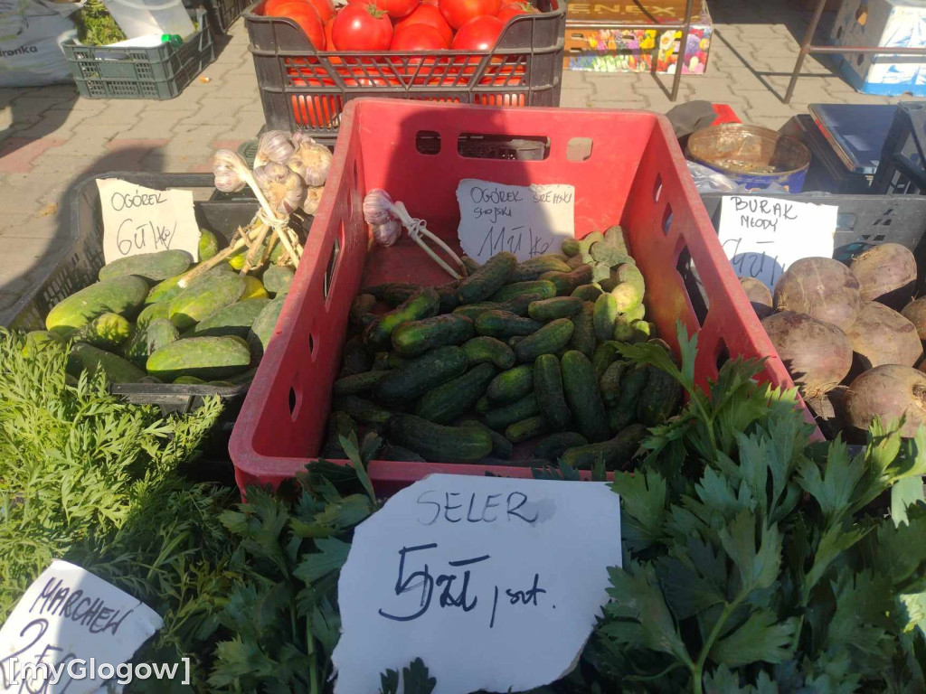 Ogórki już się kończą! Jakie ceny na dużym targu w Głogowie?