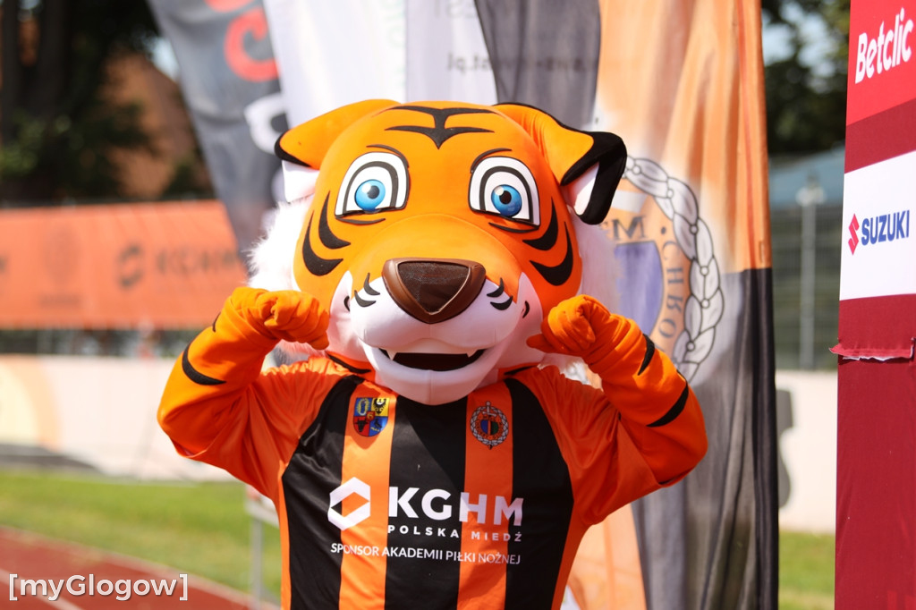 Kibice na meczu Chrobrego Głogów z Termalicą