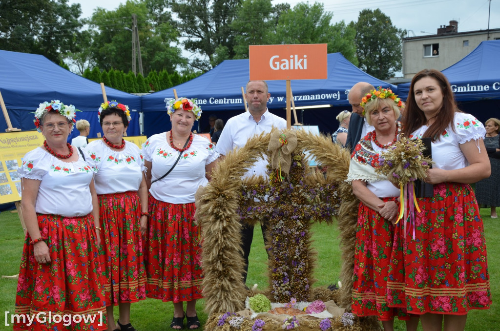 Gmina Jerzmanowa bawi  się na dożynkach w Potoczku