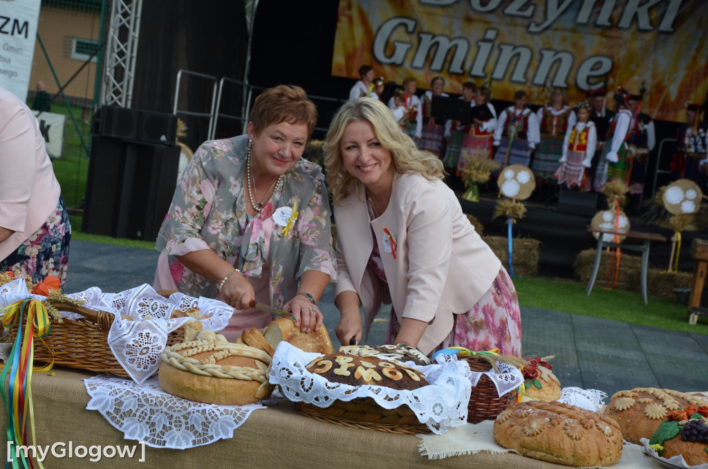 Gmina Jerzmanowa bawi  się na dożynkach w Potoczku