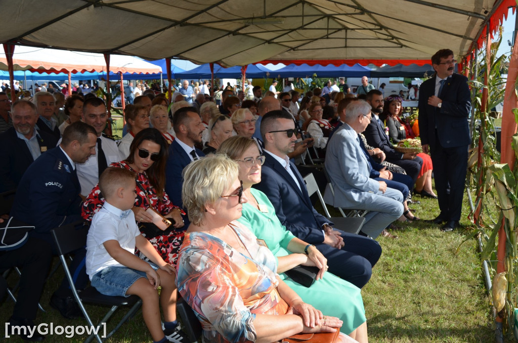 Dożynki w Grodźcu Małym. Gmina Głogów się bawi