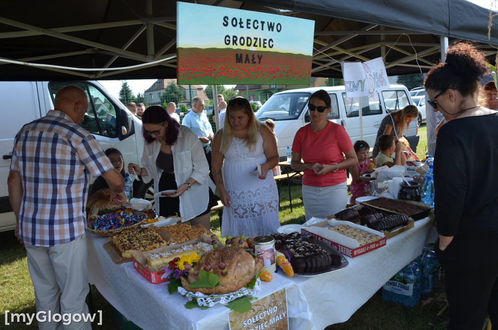 Dożynki w Grodźcu Małym. Gmina Głogów się bawi