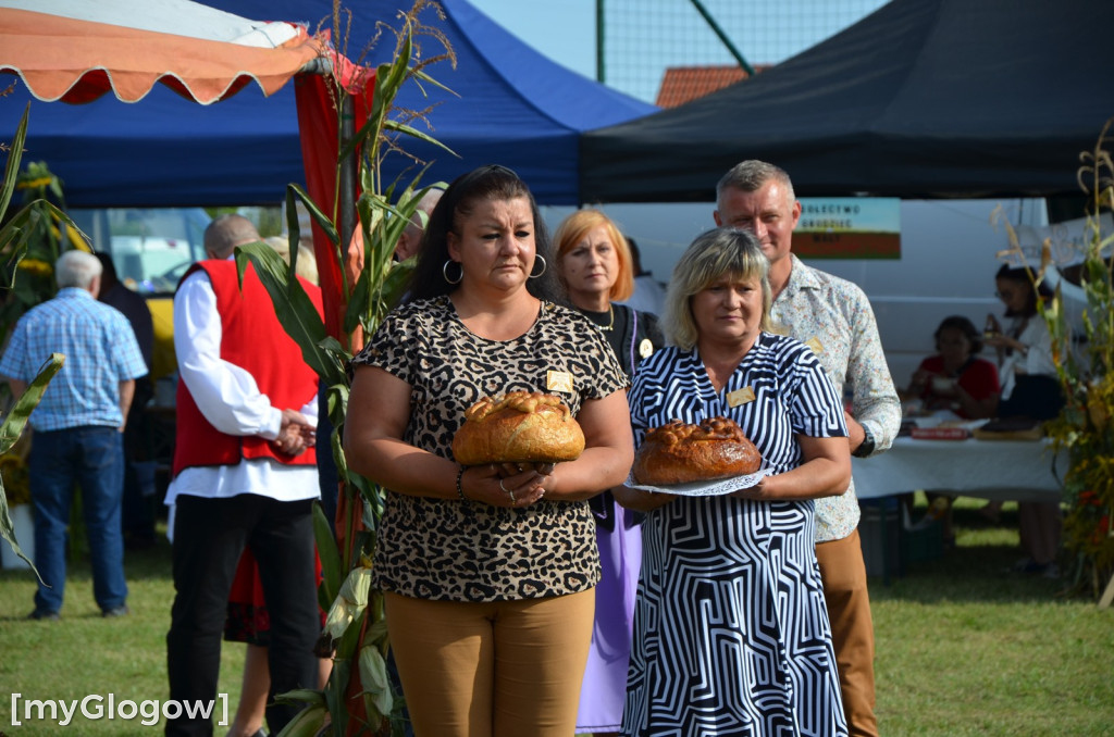 Dożynki w Grodźcu Małym. Gmina Głogów się bawi