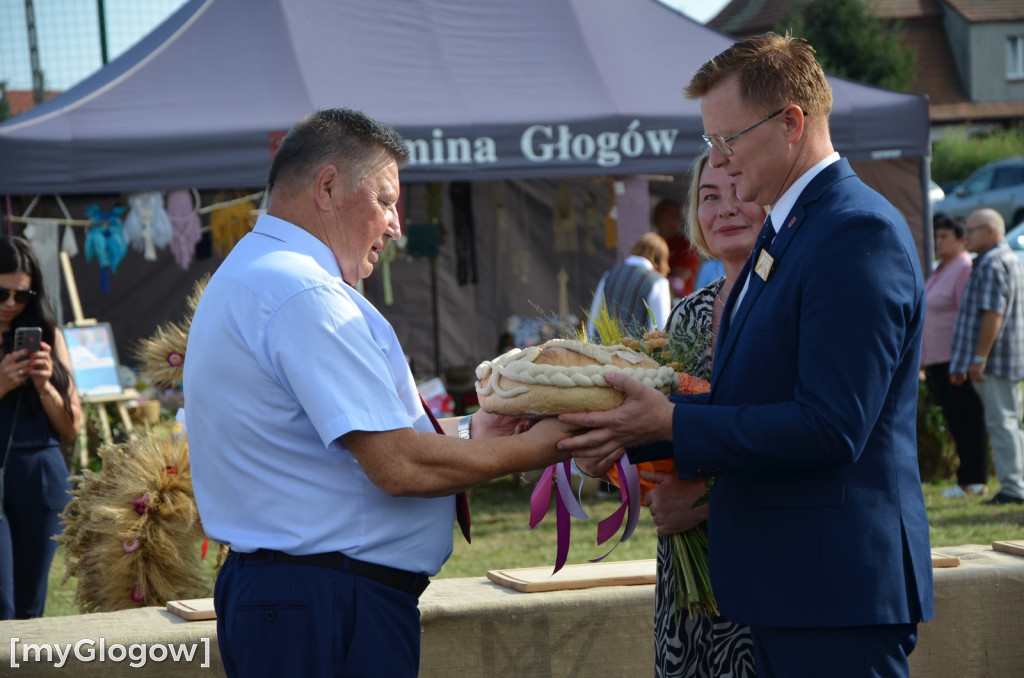 Dożynki w Grodźcu Małym. Gmina Głogów się bawi