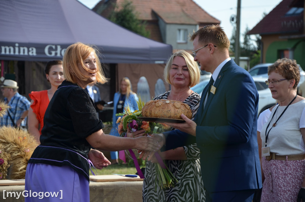 Dożynki w Grodźcu Małym. Gmina Głogów się bawi