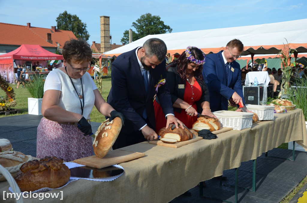 Dożynki w Grodźcu Małym. Gmina Głogów się bawi