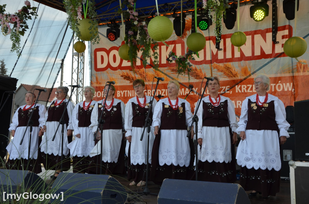 Dożynki w Grodźcu Małym. Gmina Głogów się bawi