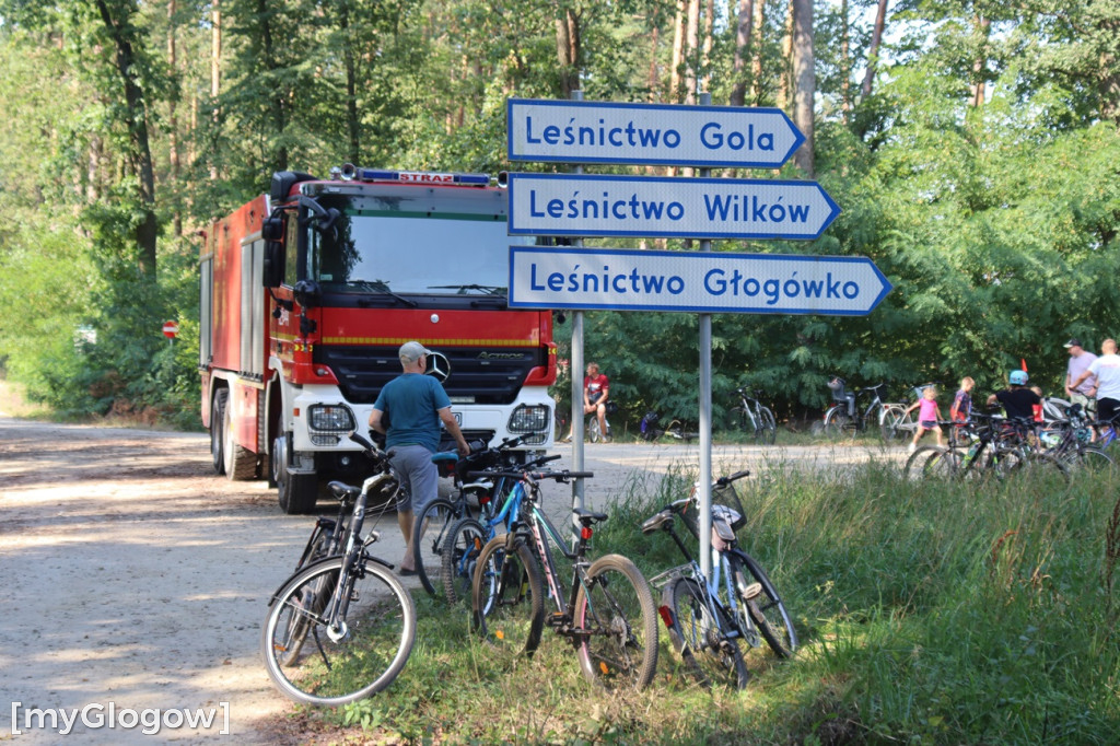 Trzymaj formę w Leśnej Dolinie