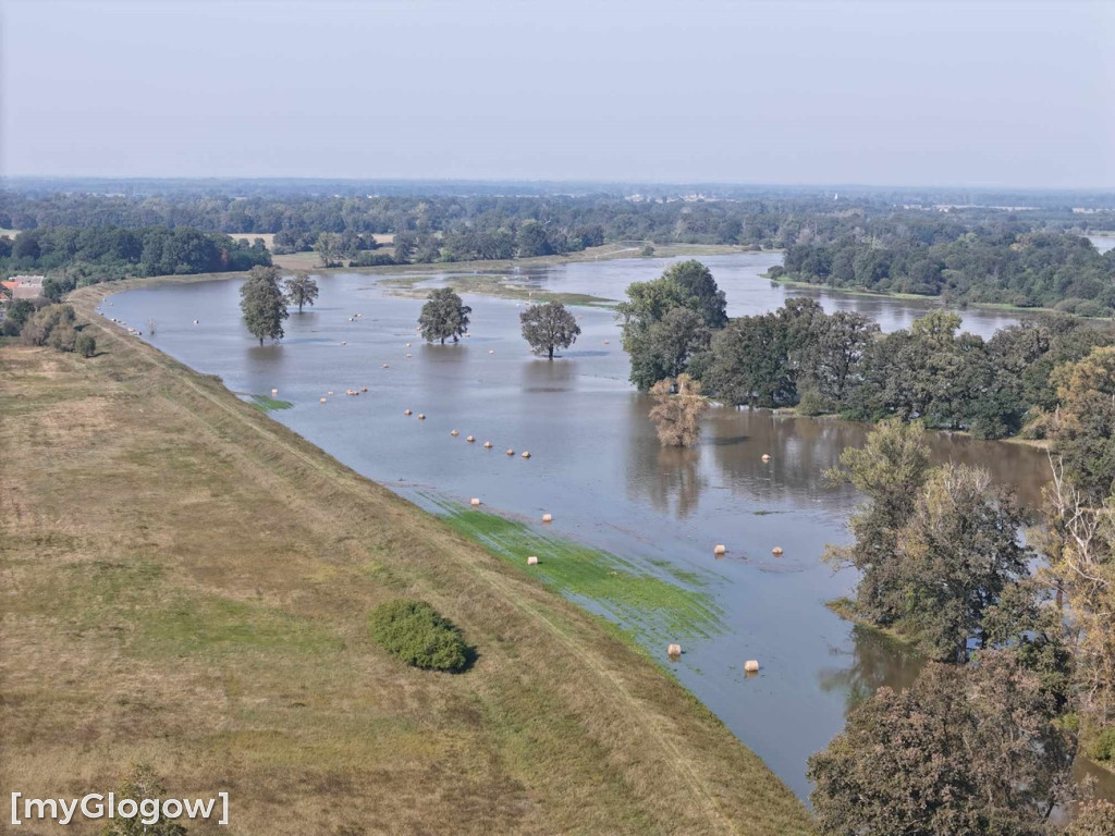 Odra z góry