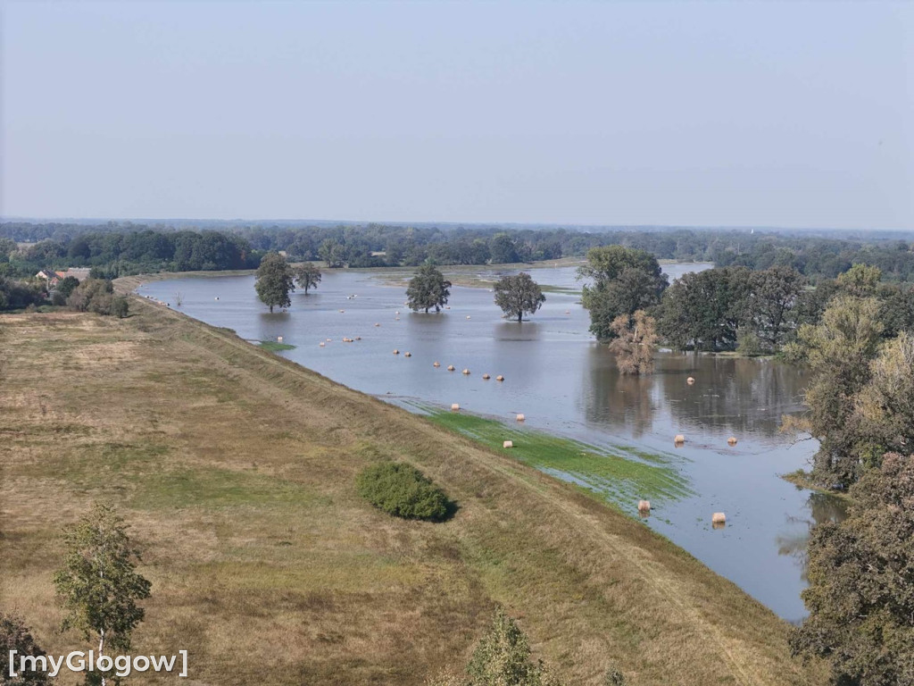 Odra z góry