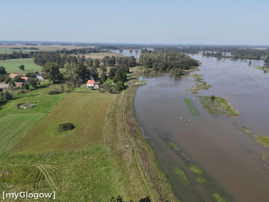 Odra z góry