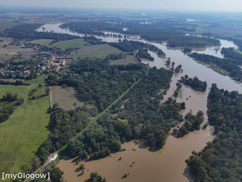 Odra z góry