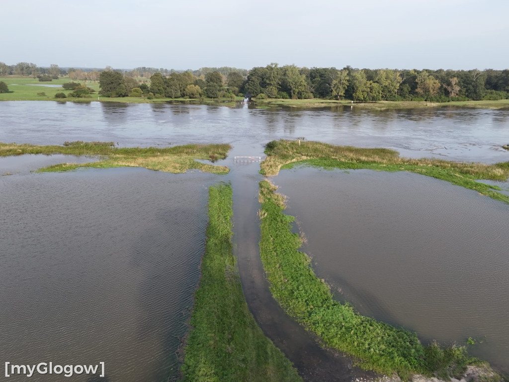 Odra z góry