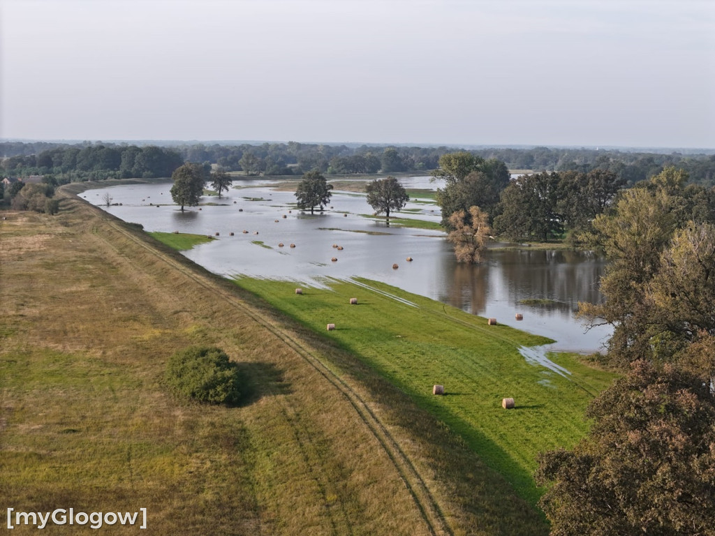 Odra z góry