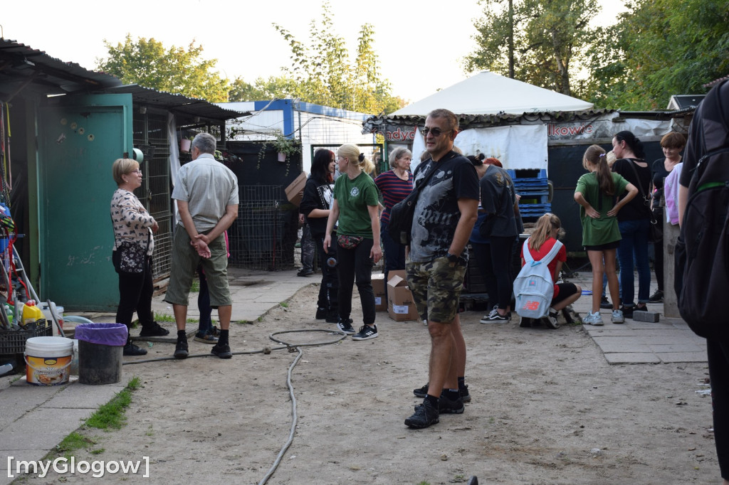 Wydawanie zwierząt w Amicusie w Głogowie