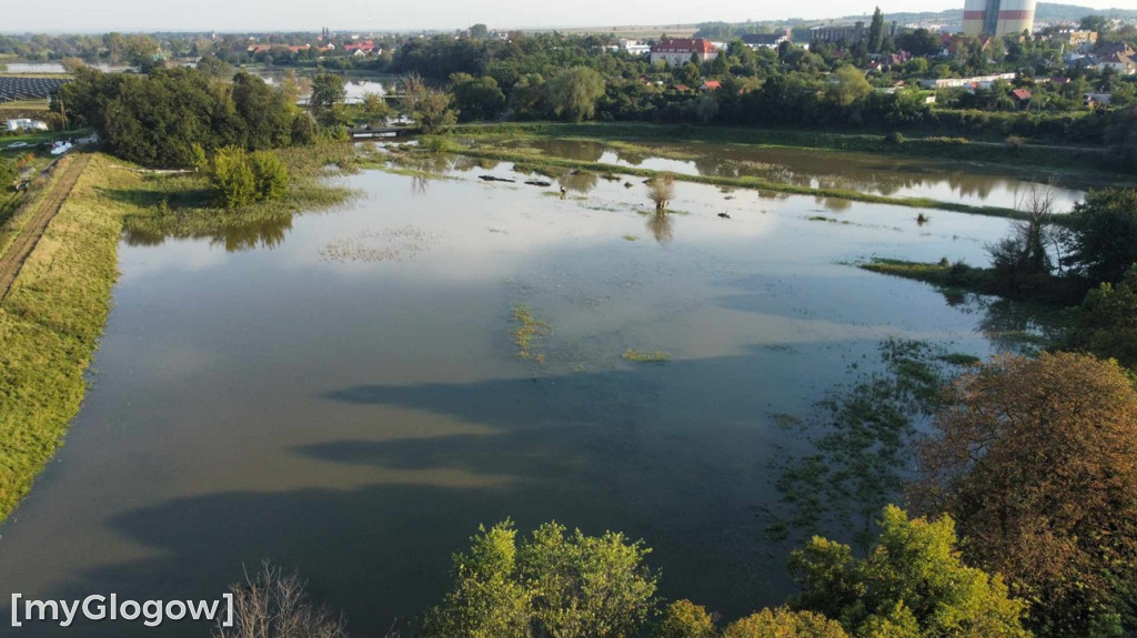 Ratowanie dzielnic Głogowa