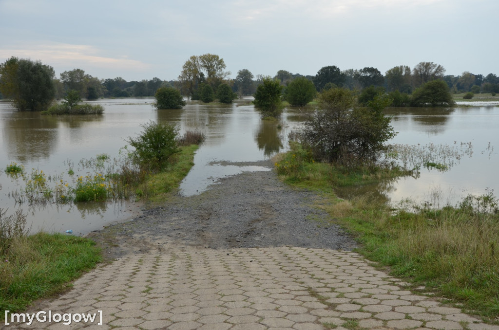 Mieszkańcy gminy Głogów umacniają wały przeciwpowodziowe