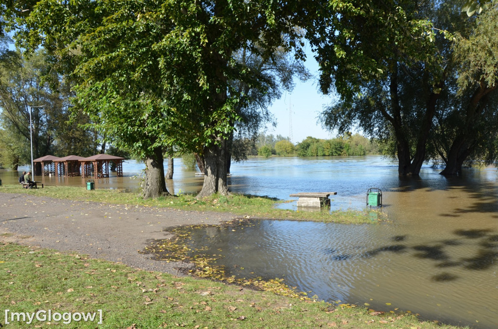 Odra w Głogowie wciąż przybiera