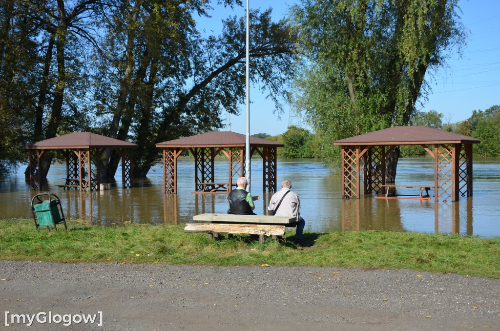 Odra w Głogowie wciąż przybiera