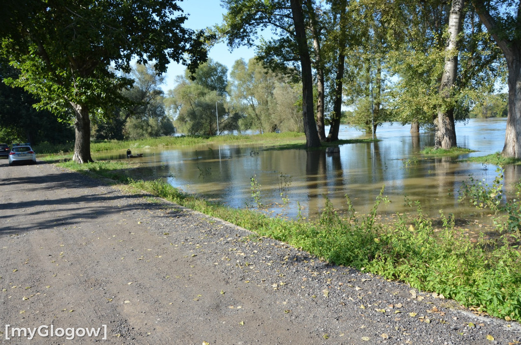 Odra w Głogowie wciąż przybiera