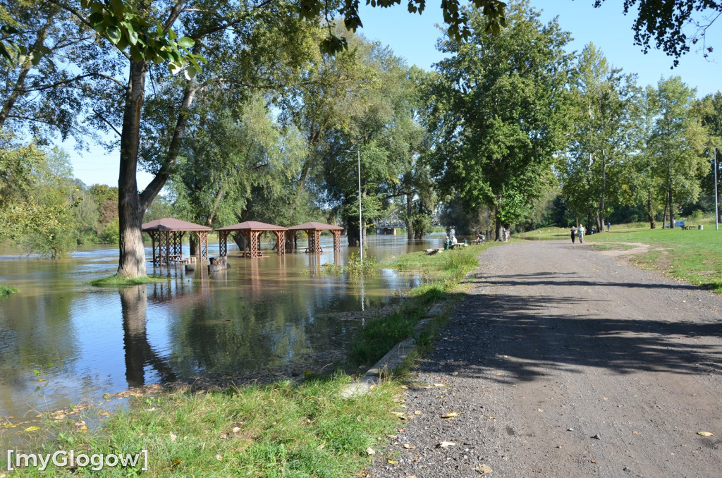 Odra w Głogowie wciąż przybiera