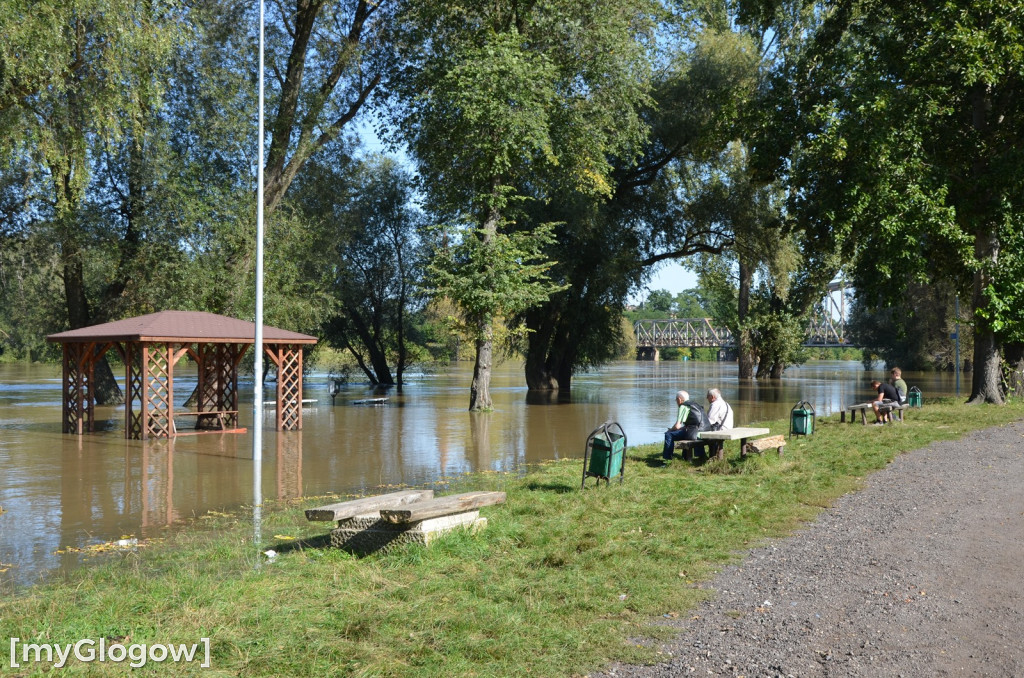 Odra w Głogowie wciąż przybiera