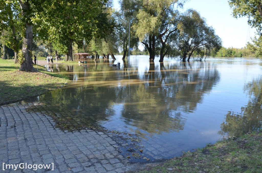 Odra w Głogowie wciąż przybiera