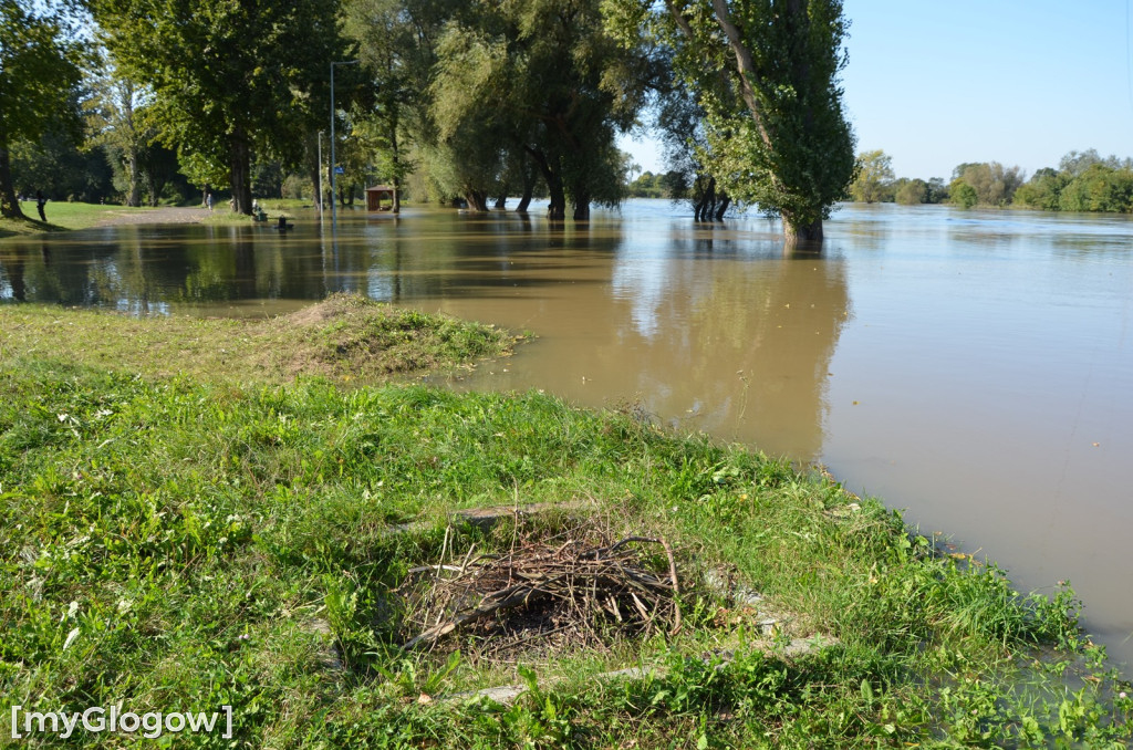 Odra w Głogowie wciąż przybiera