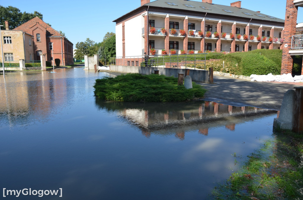 Ostrów Tumski w Głogowie w czasie kulminacji na Odrze