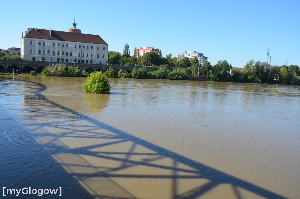 Ostrów Tumski w Głogowie w czasie kulminacji na Odrze