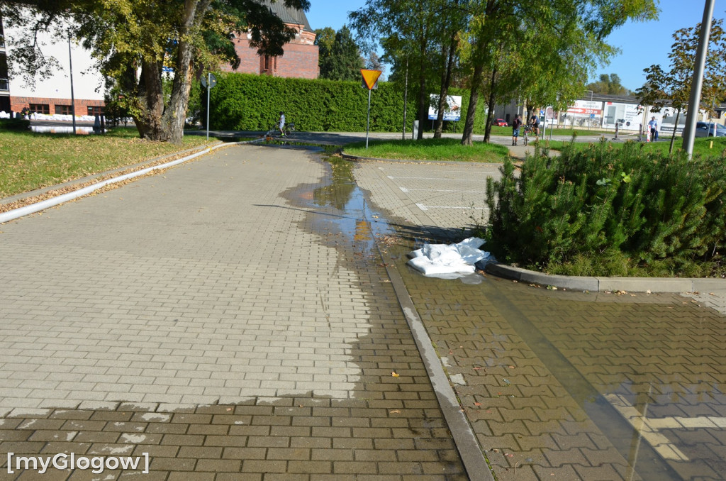 Ostrów Tumski w Głogowie w czasie kulminacji na Odrze
