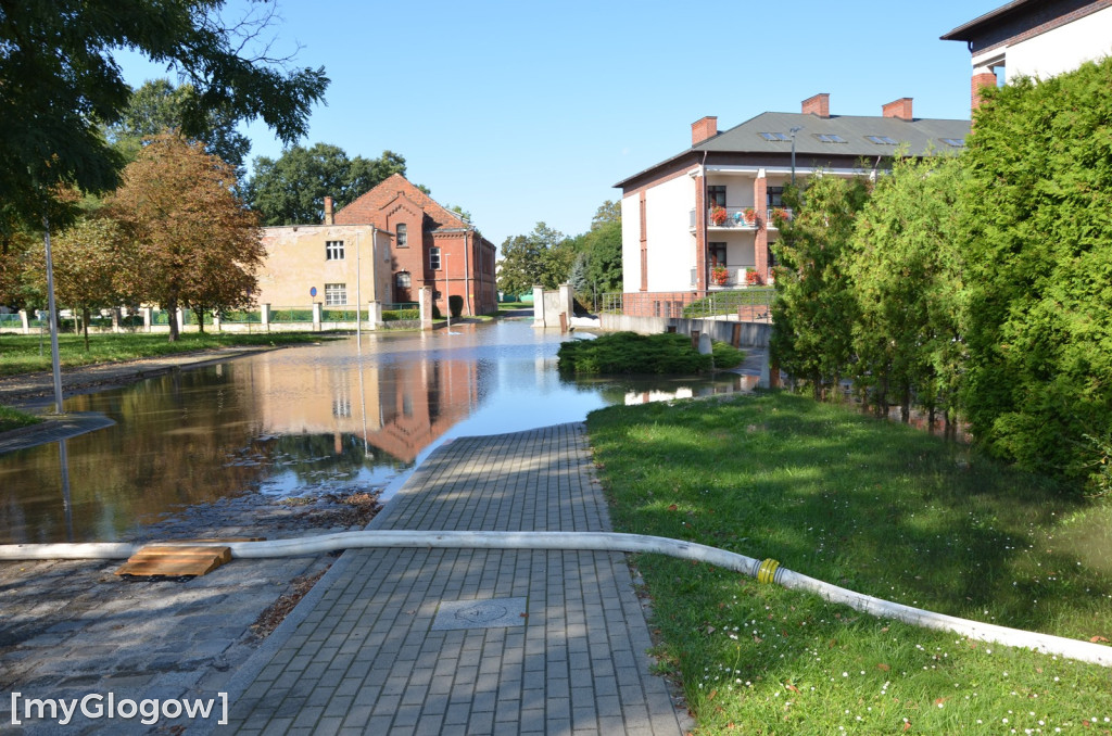 Ostrów Tumski w Głogowie w czasie kulminacji na Odrze