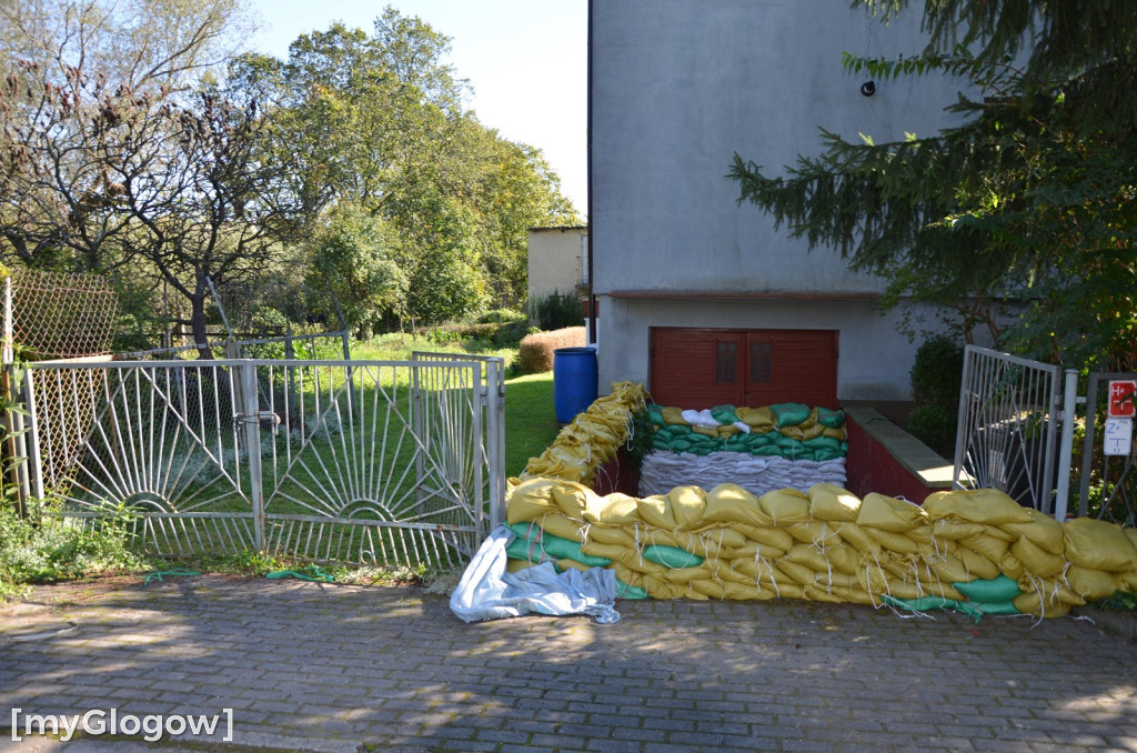 Ostrów Tumski w Głogowie w czasie kulminacji na Odrze
