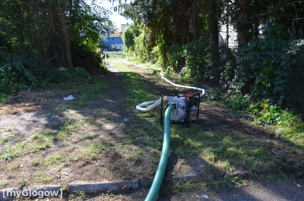Ostrów Tumski w Głogowie w czasie kulminacji na Odrze