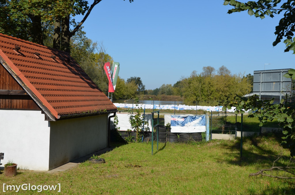 Ostrów Tumski w Głogowie w czasie kulminacji na Odrze