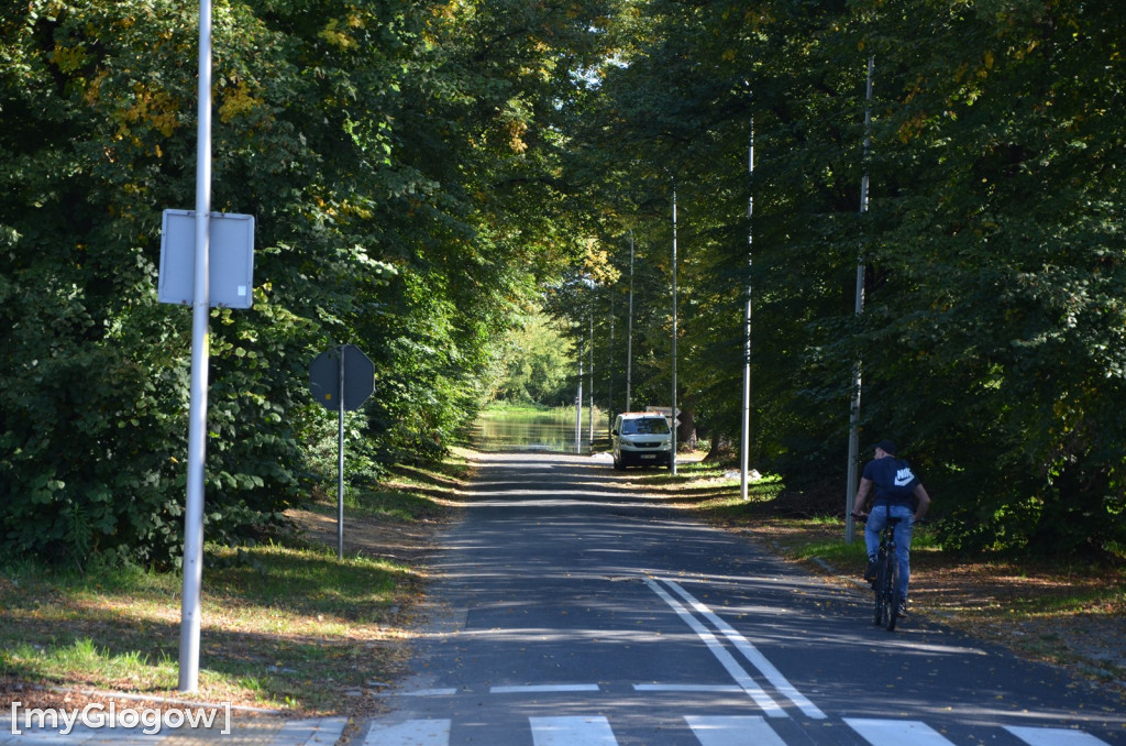 Ostrów Tumski w Głogowie w czasie kulminacji na Odrze