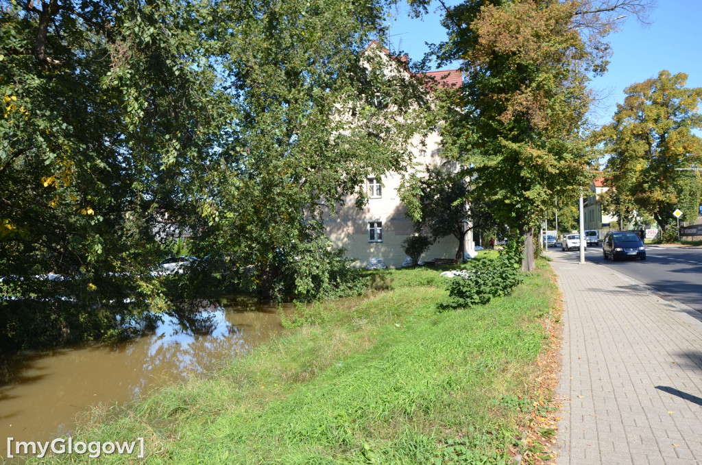Ostrów Tumski w Głogowie w czasie kulminacji na Odrze