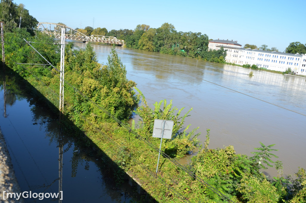 Ostrów Tumski w Głogowie w czasie kulminacji na Odrze