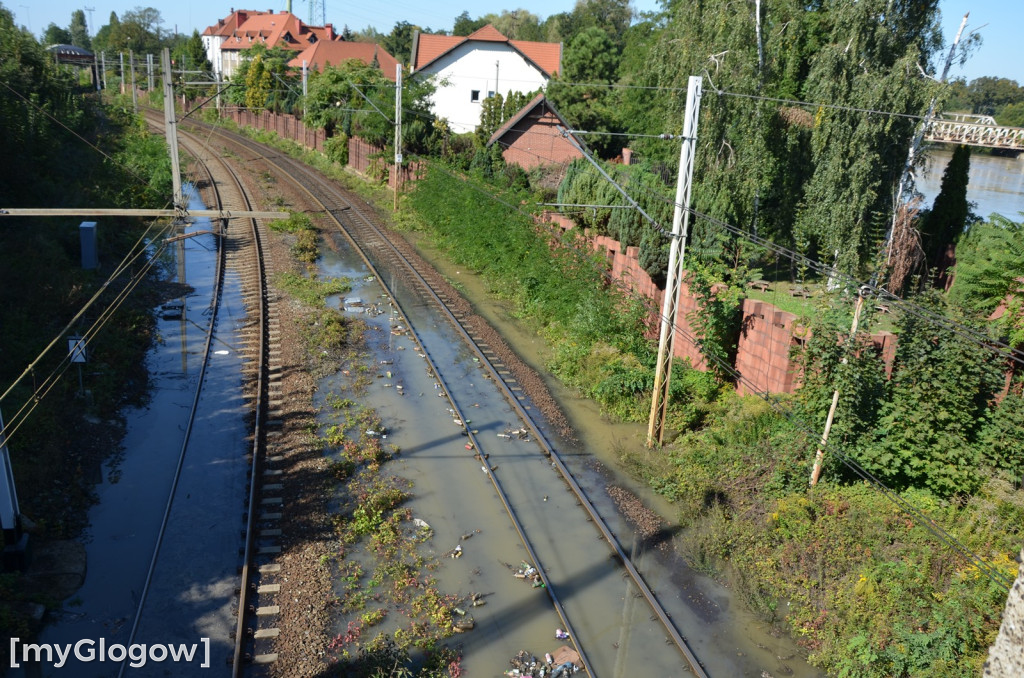 Ostrów Tumski w Głogowie w czasie kulminacji na Odrze