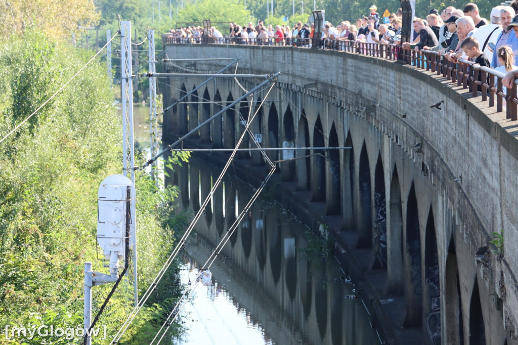 Mandaty i obserwatorzy nad Odrą