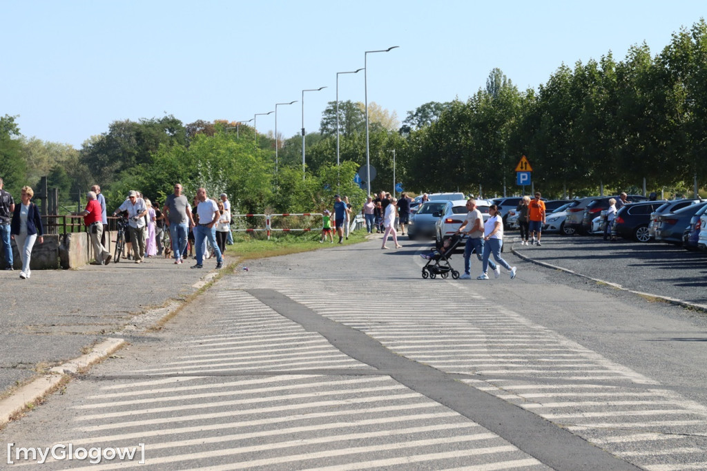 Mandaty i obserwatorzy nad Odrą