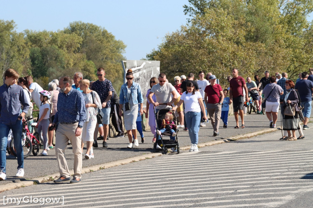 Mandaty i obserwatorzy nad Odrą