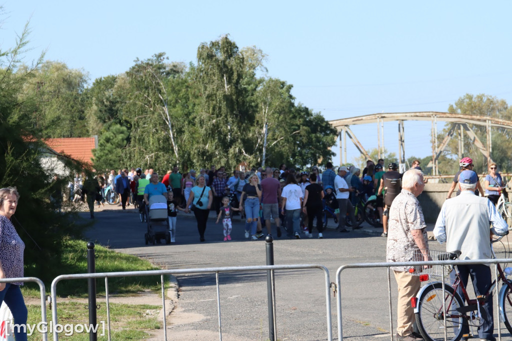 Mandaty i obserwatorzy nad Odrą