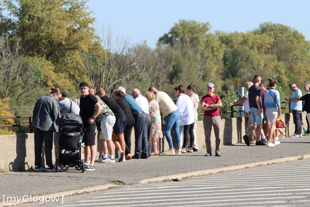 Mandaty i obserwatorzy nad Odrą